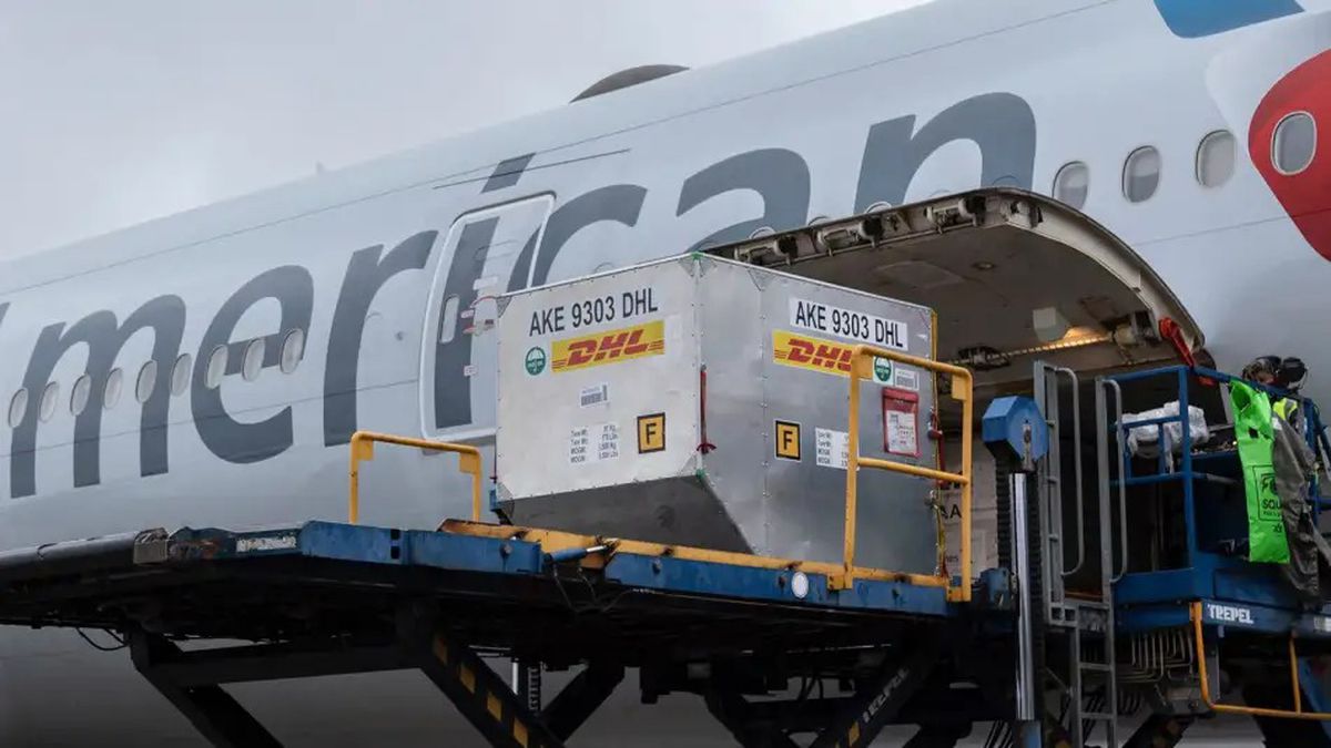 Vacunación COVID-19 : llegan más de 160 mil dosis Pfizer a la Argentina post thumbnail image
