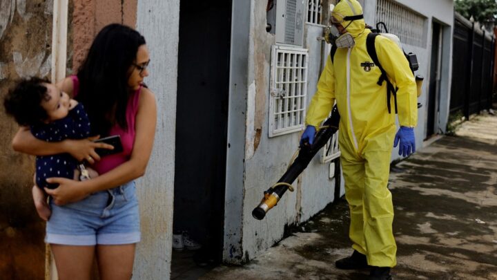 El dengue en Brasil no frena: ya hay 94 muertes